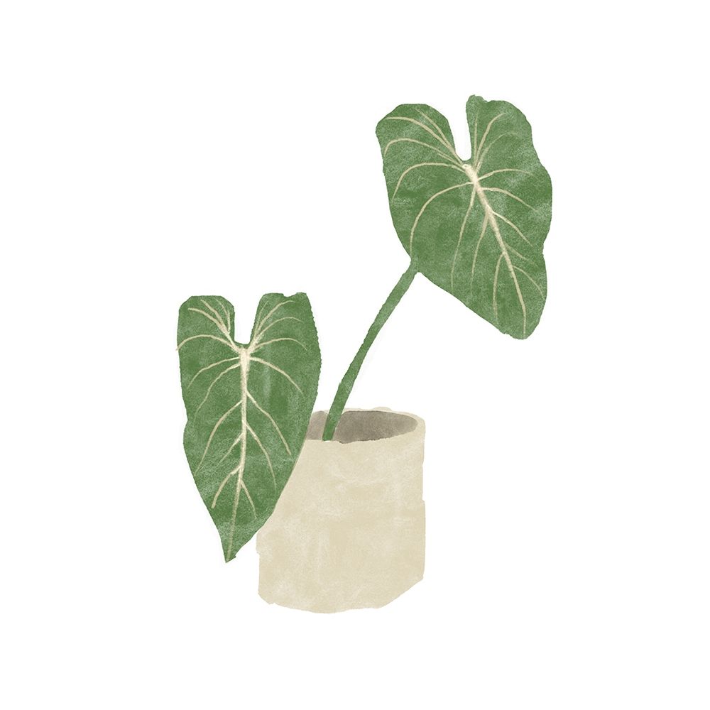 Philodendron Gloriosum I art print by Bannarot for $57.95 CAD