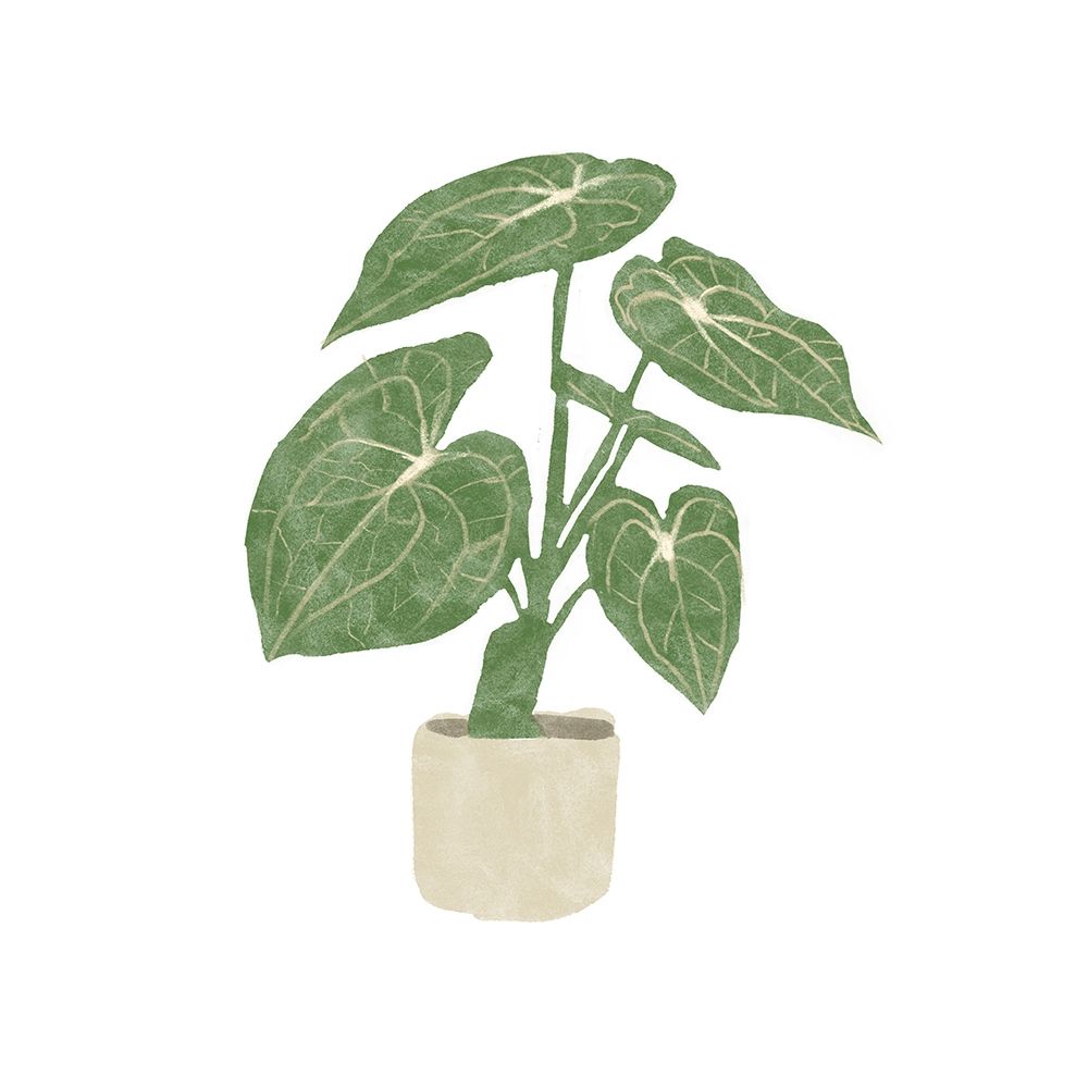 Philodendron Gloriosum II art print by Bannarot for $57.95 CAD