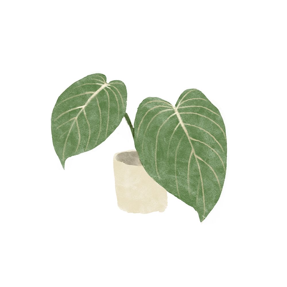 Philodendron Gloriosum III art print by Bannarot for $57.95 CAD