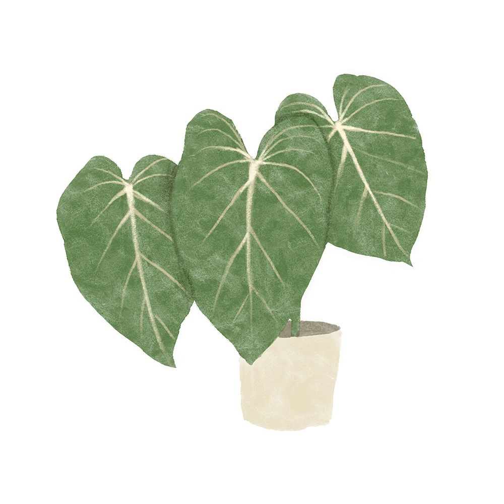 Philodendron Gloriosum IV art print by Bannarot for $57.95 CAD