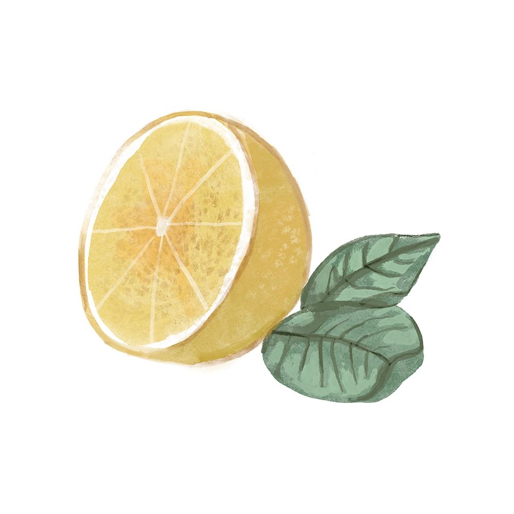 Citrus Limon IV art print by Bannarot for $57.95 CAD