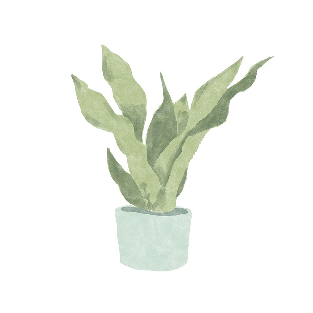 Snake  Plant II art print by Bannarot for $57.95 CAD