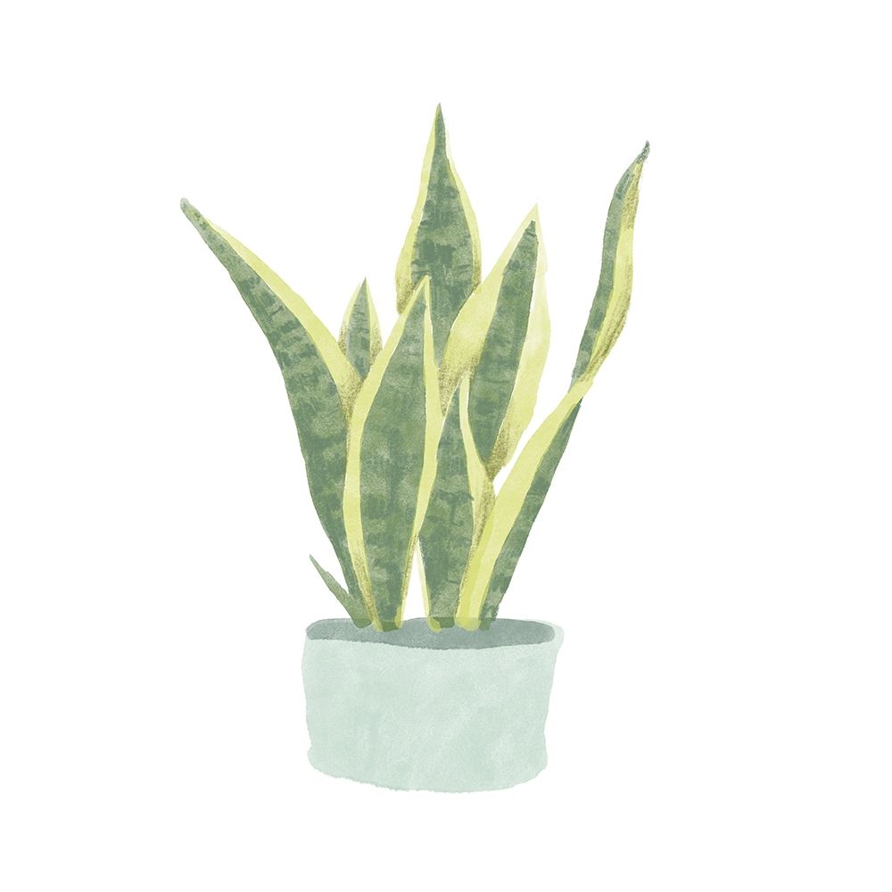 Snake  Plant III art print by Bannarot for $57.95 CAD