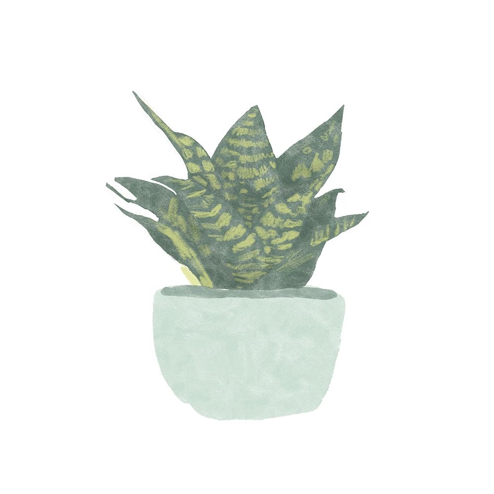 Snake  Plant IV art print by Bannarot for $57.95 CAD
