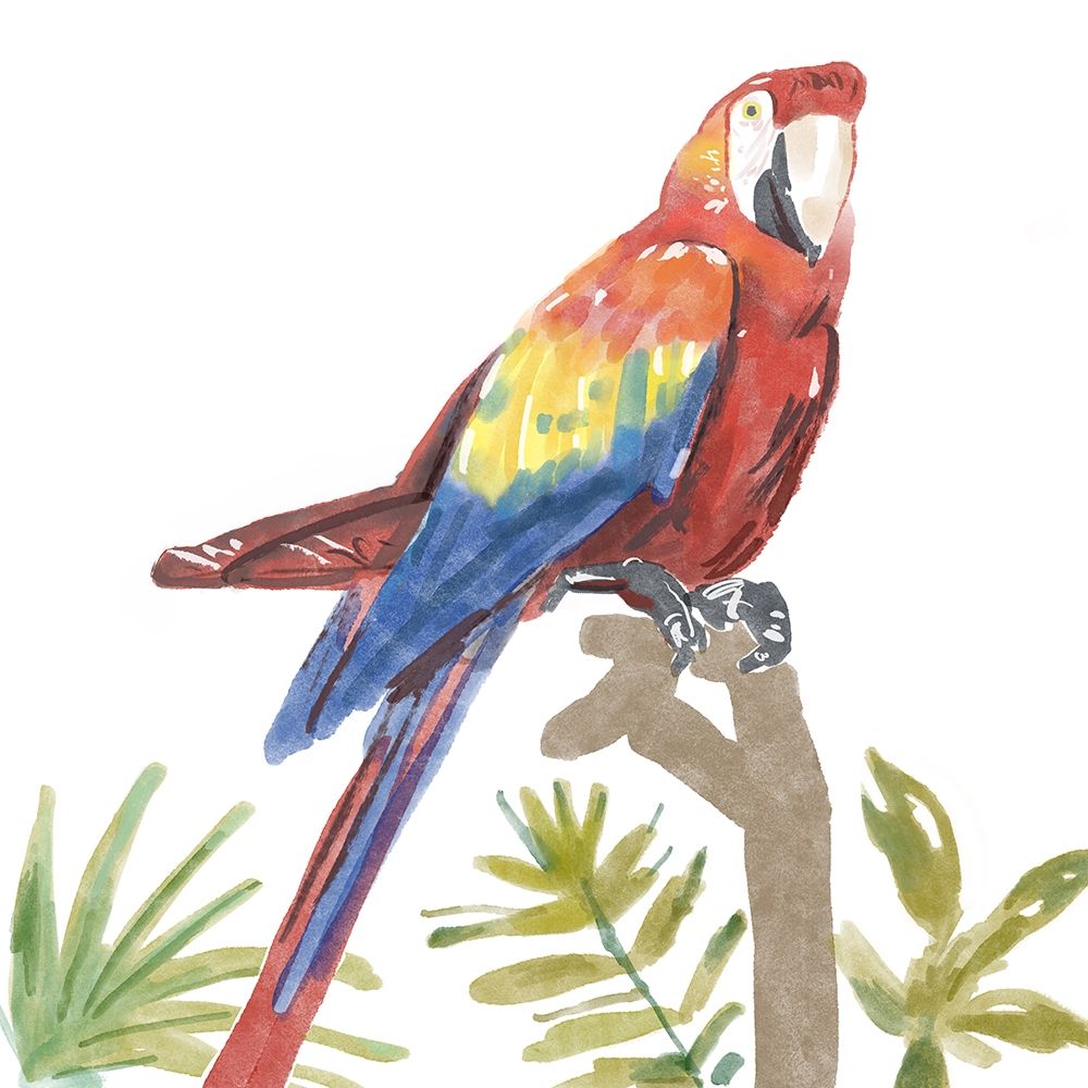 Tropical  Parrot art print by Bannarot for $57.95 CAD