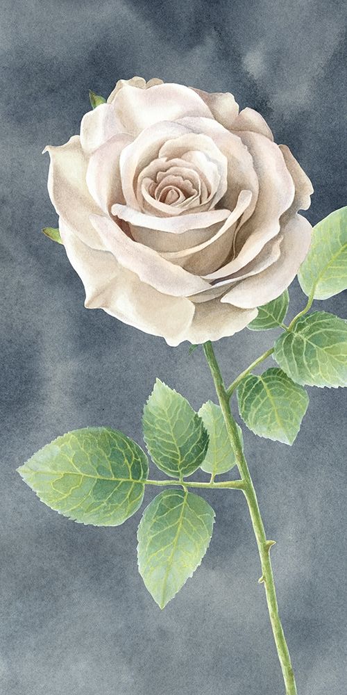 Ivory  Roses on gray panel II art print by Kelsey Wilson for $57.95 CAD