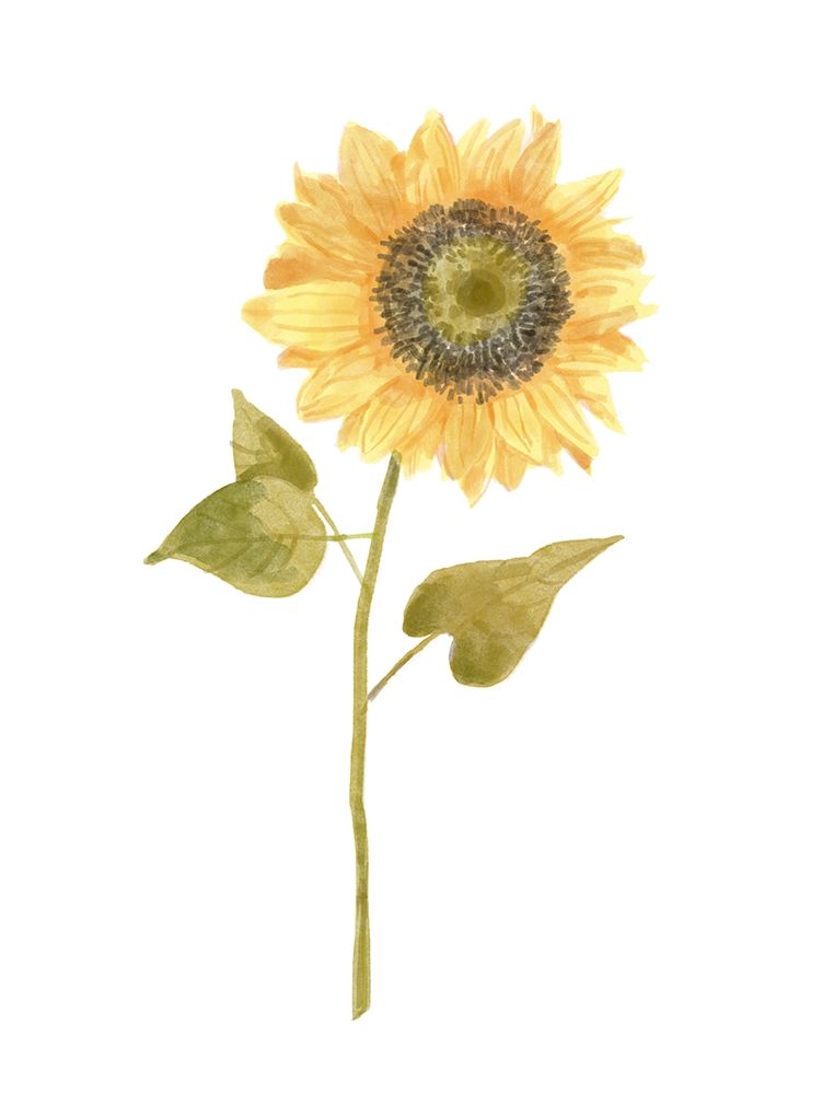 Single  Sunflower portrait I art print by Bannarot for $57.95 CAD