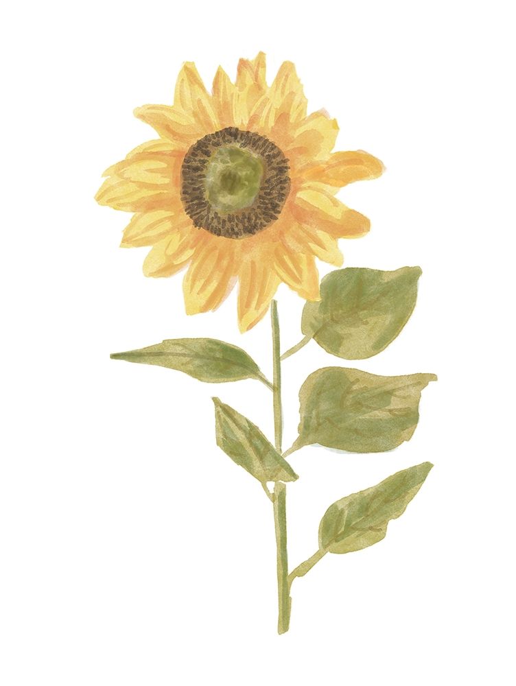 Single  Sunflower portrait II art print by Bannarot for $57.95 CAD
