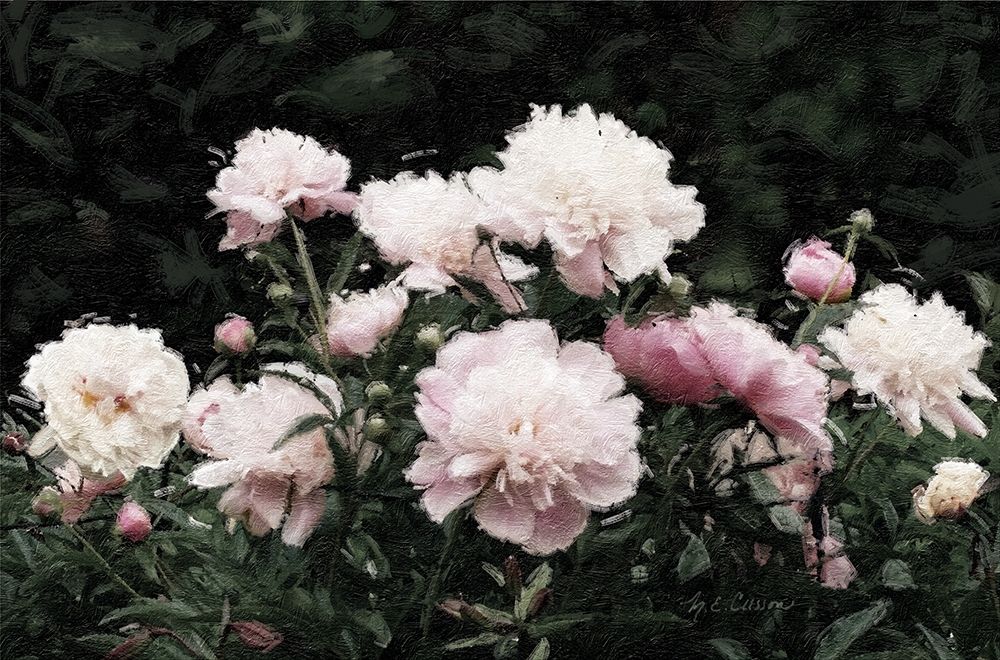 Peony  Poetry II art print by Marie-Elaine Cusson for $57.95 CAD