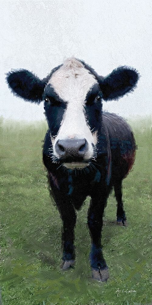 Funky  Cow I art print by Marie-Elaine Cusson for $57.95 CAD