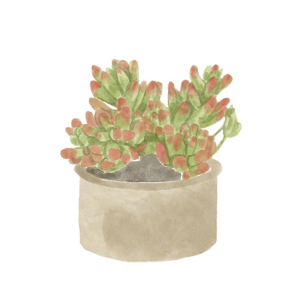 Simple Succulent I art print by Bannarot for $57.95 CAD