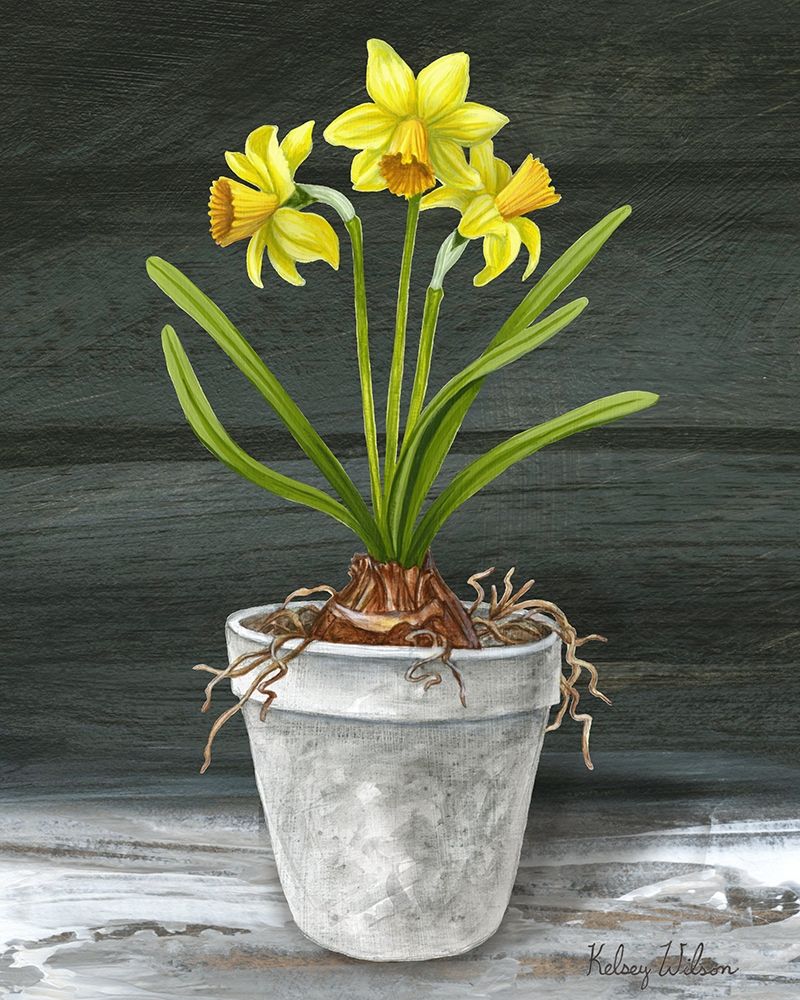 Farmhouse Garden I-Daffodils art print by Kelsey Wilson for $57.95 CAD