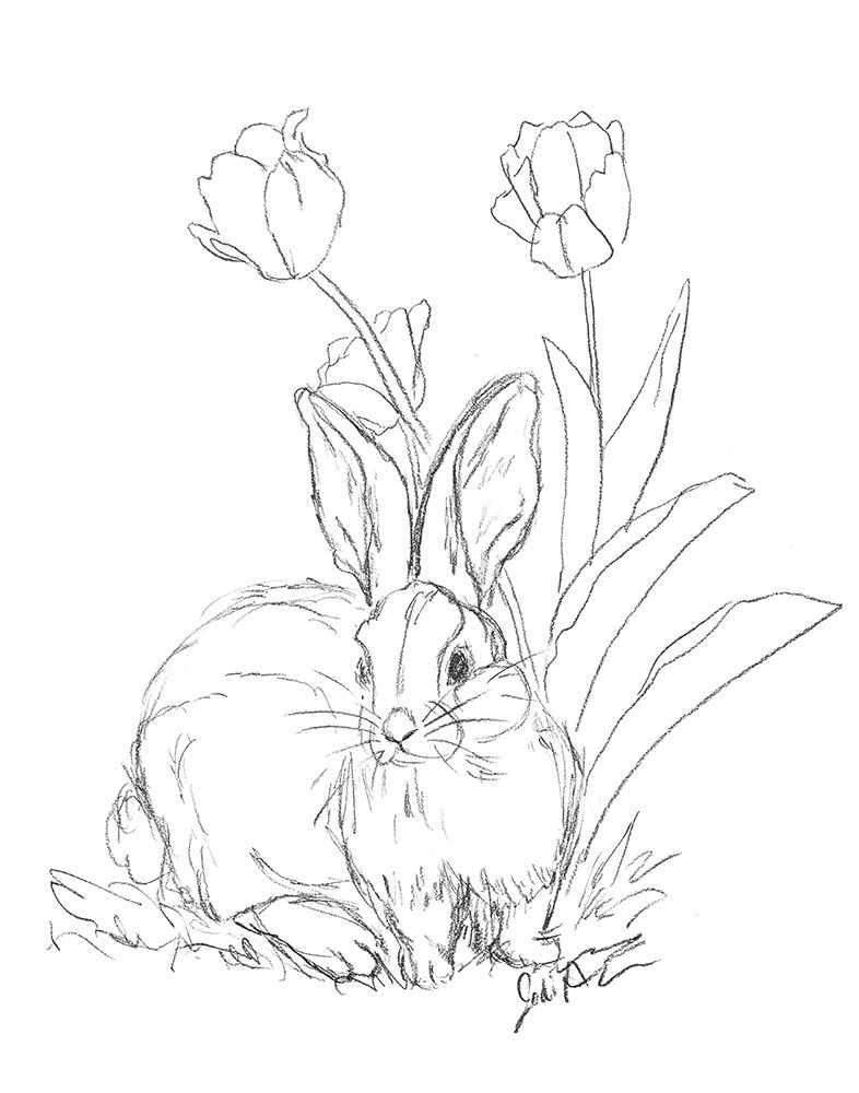 Bunny  Sketch Tulip art print by Jodi Augustine for $57.95 CAD