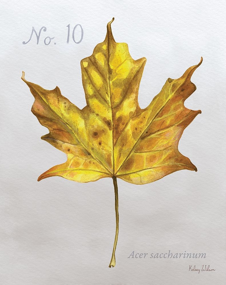 Autumn  Leaves on Gray I-Maple art print by Kelsey Wilson for $57.95 CAD