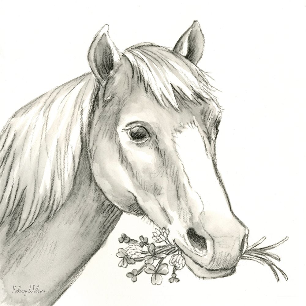 Watercolor  Pencil Farm III-Horse art print by Kelsey Wilson for $57.95 CAD
