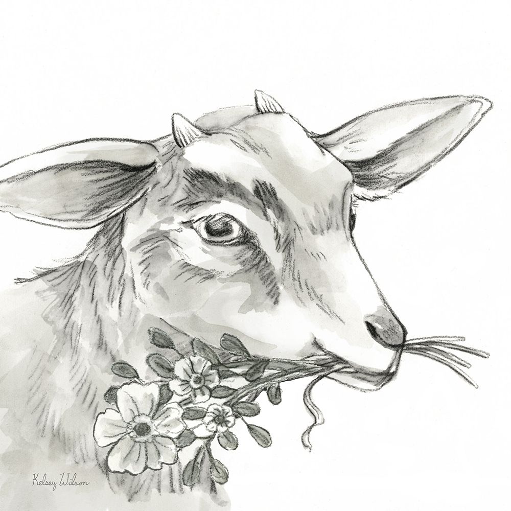 Watercolor  Pencil Farm IV-Goat art print by Kelsey Wilson for $57.95 CAD