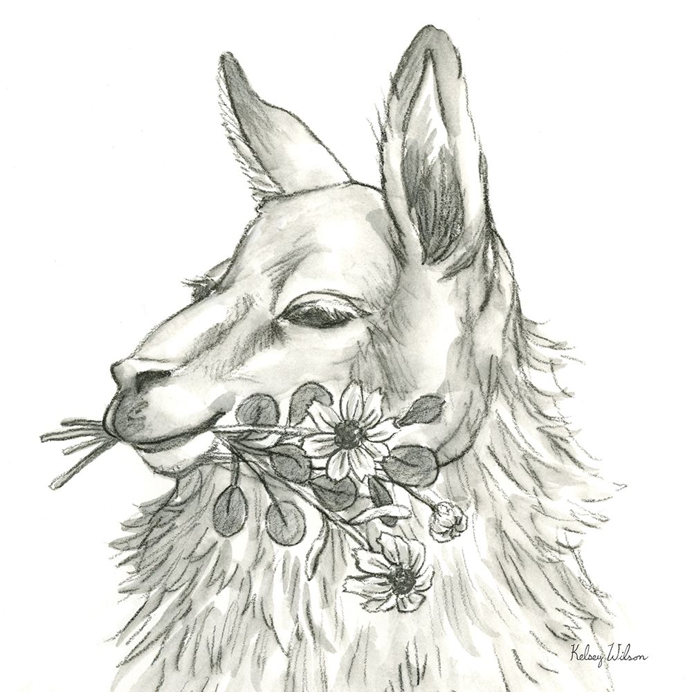 Watercolor  Pencil Farm VII-Llama art print by Kelsey Wilson for $57.95 CAD