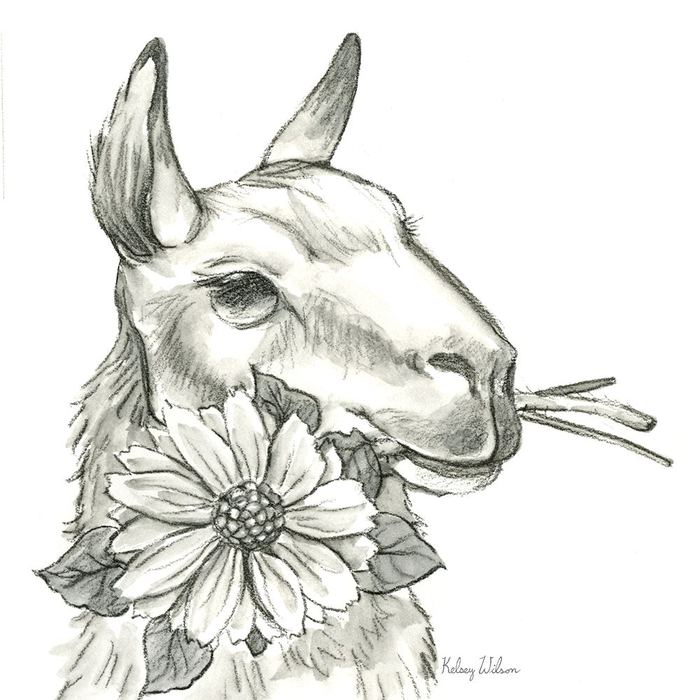 Watercolor  Pencil Farm XI-Llama 2 art print by Kelsey Wilson for $57.95 CAD