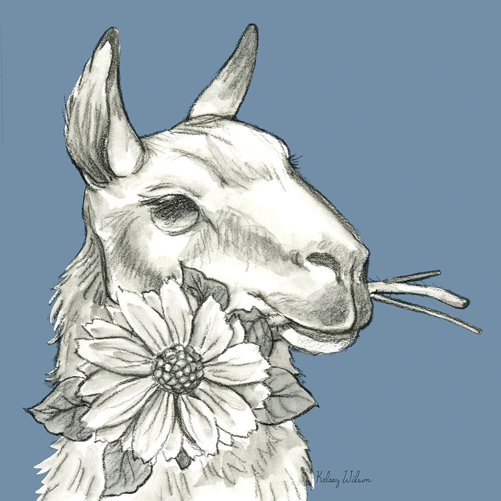 Watercolor  Pencil Farm color XI-Llama 2 art print by Kelsey Wilson for $57.95 CAD