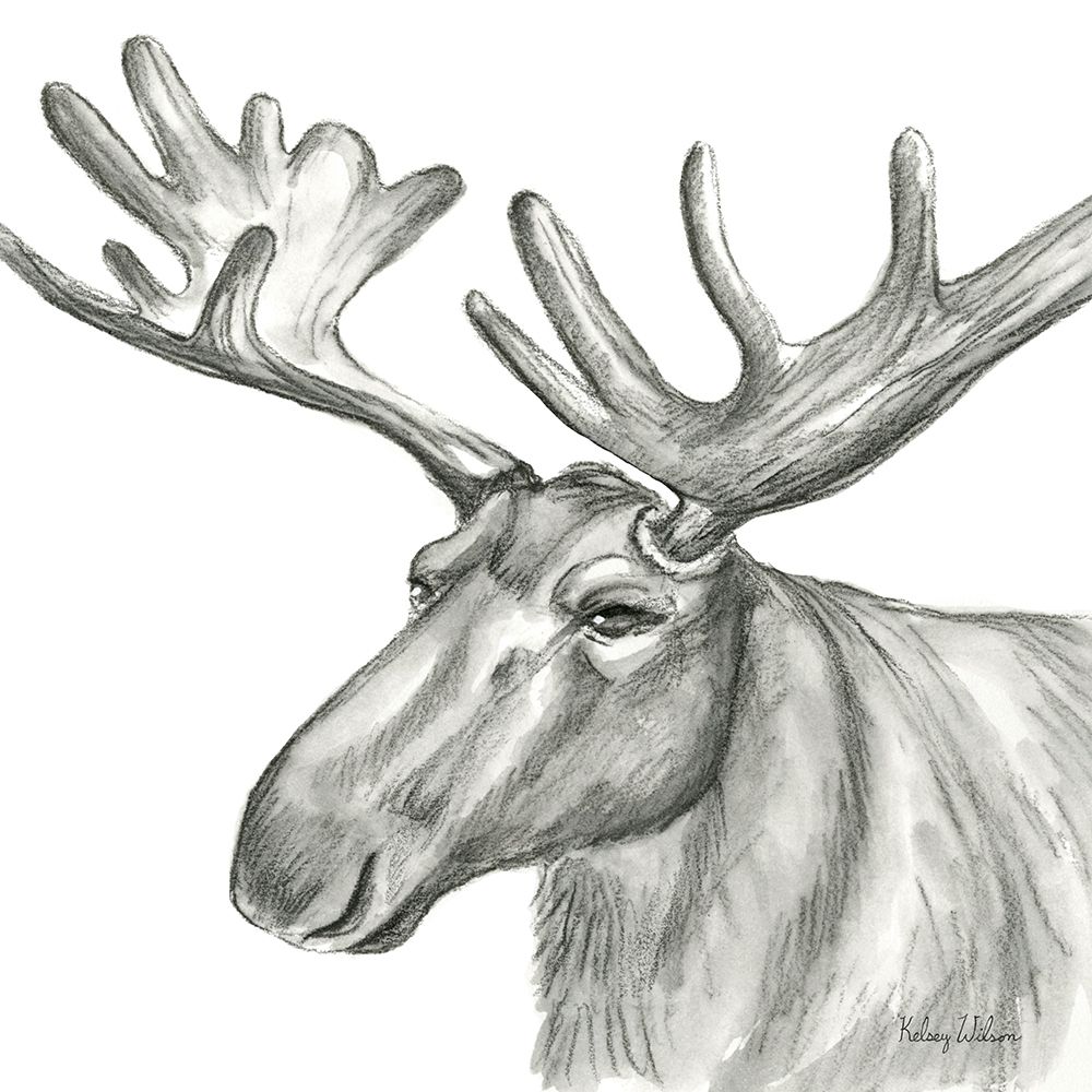 Watercolor Pencil Forest I-Moose art print by Kelsey Wilson for $57.95 CAD