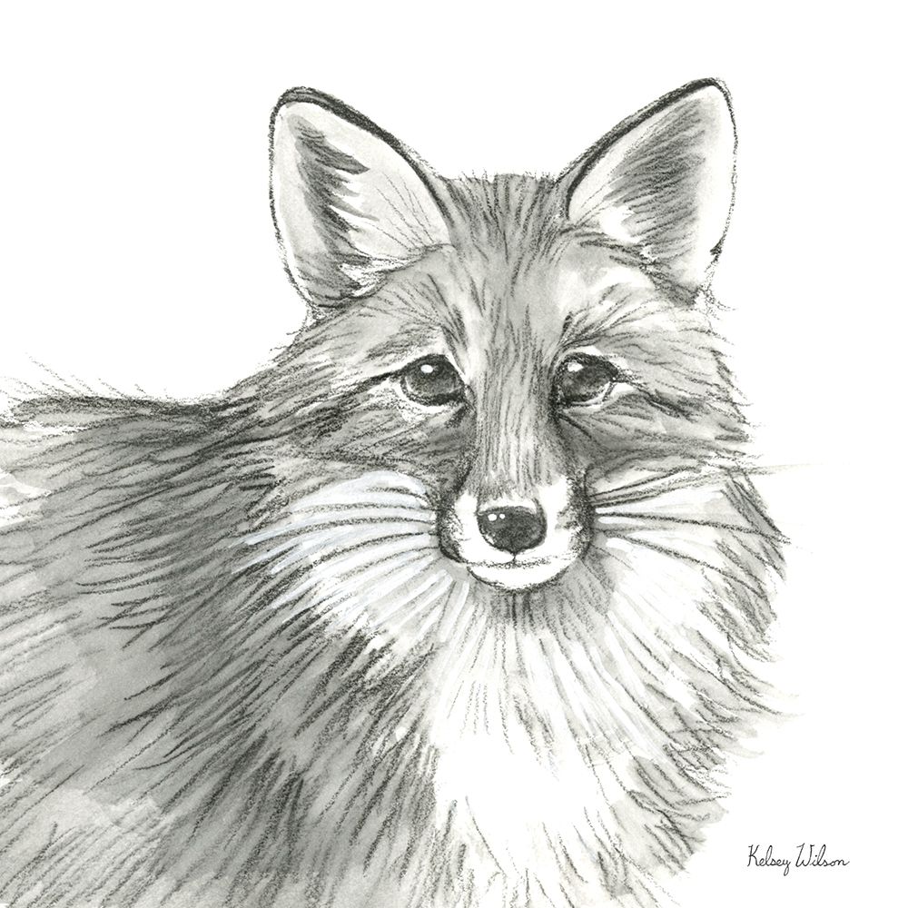 Watercolor Pencil Forest III-Fox art print by Kelsey Wilson for $57.95 CAD
