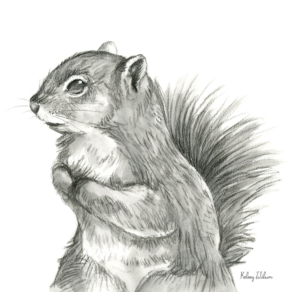 Watercolor Pencil Forest IV-Squirrel art print by Kelsey Wilson for $57.95 CAD