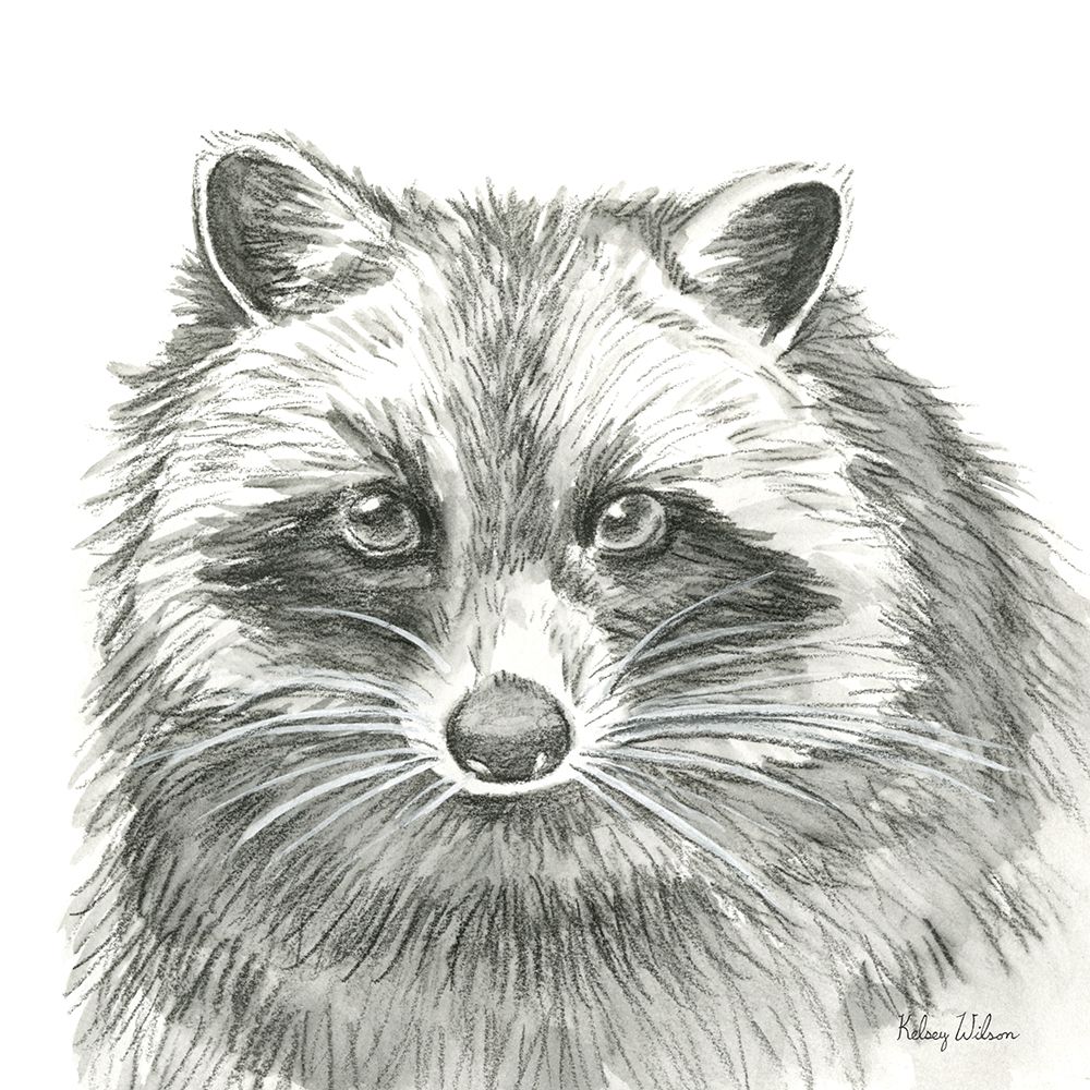 Watercolor Pencil Forest VI-Raccoon art print by Kelsey Wilson for $57.95 CAD