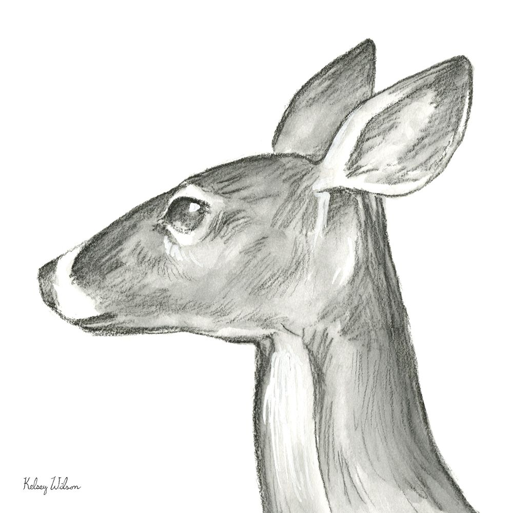 Watercolor Pencil Forest VII-Doe art print by Kelsey Wilson for $57.95 CAD