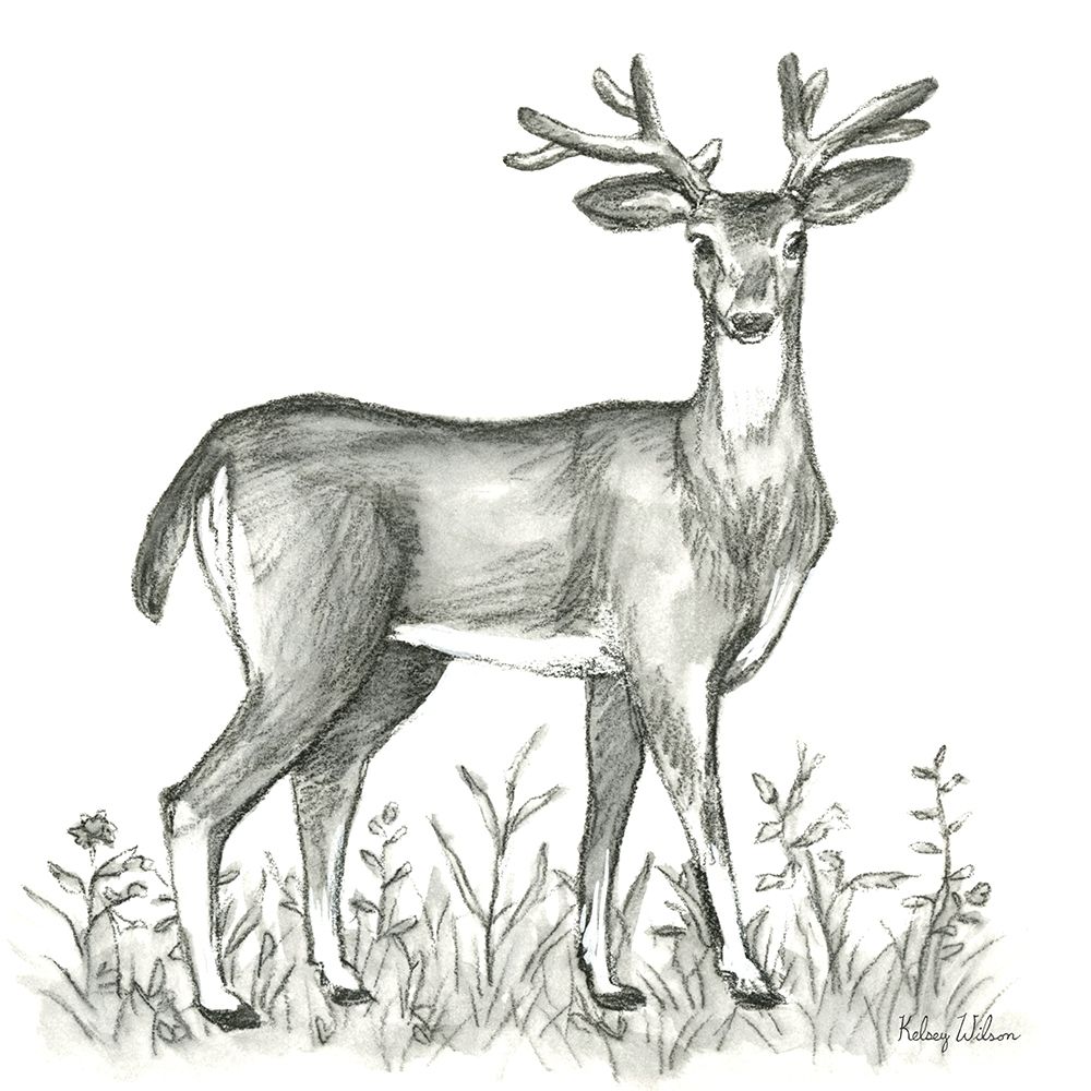 Watercolor Pencil Forest XI-Deer 2 art print by Kelsey Wilson for $57.95 CAD