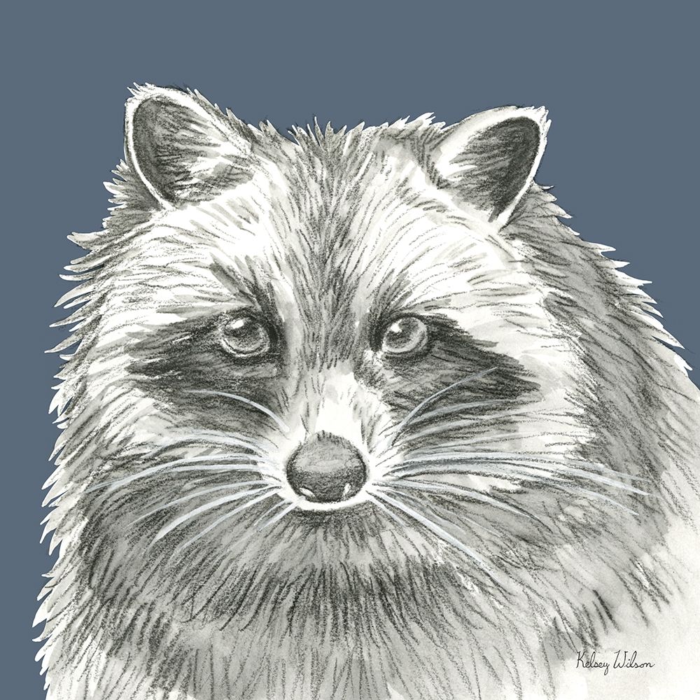 Watercolor Pencil Forest color VI-Raccoon art print by Kelsey Wilson for $57.95 CAD