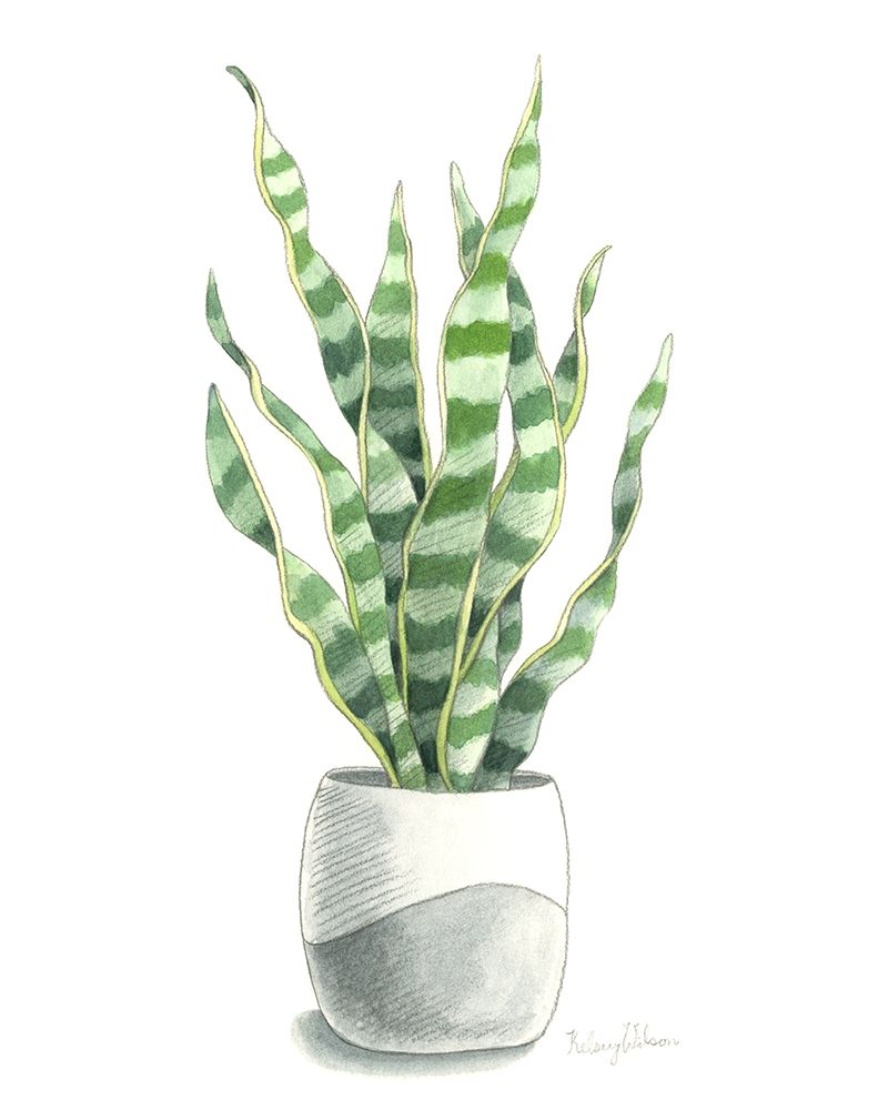 Potted Exotics I art print by Kelsey Wilson for $57.95 CAD