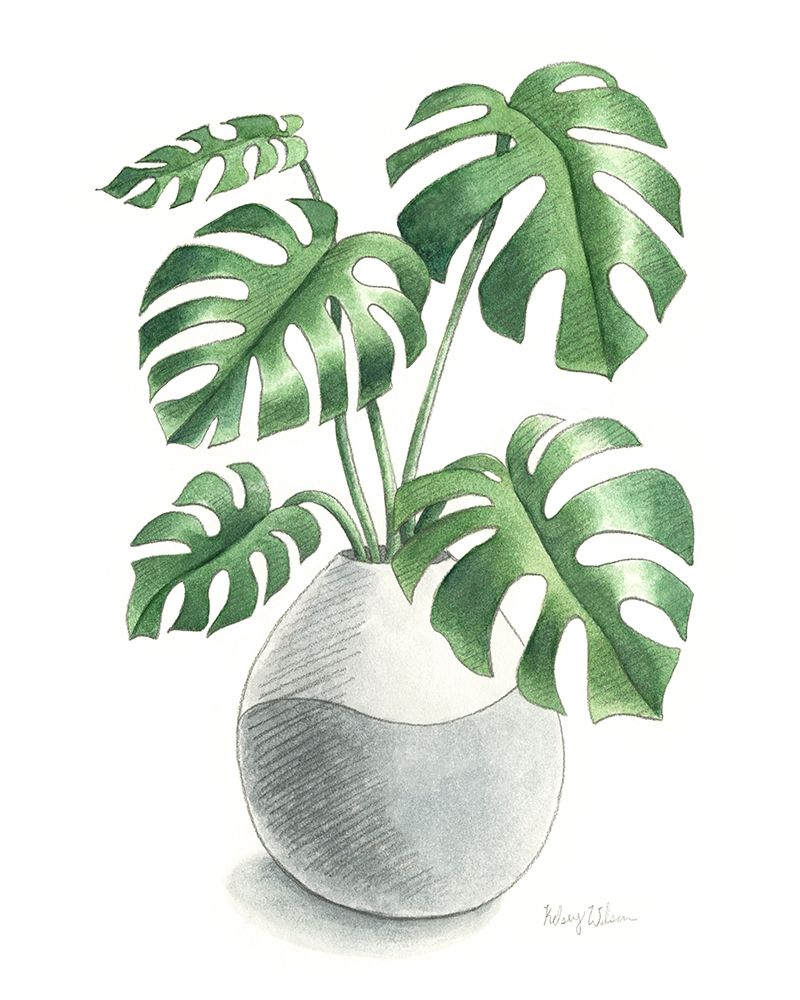 Potted Exotics II art print by Kelsey Wilson for $57.95 CAD