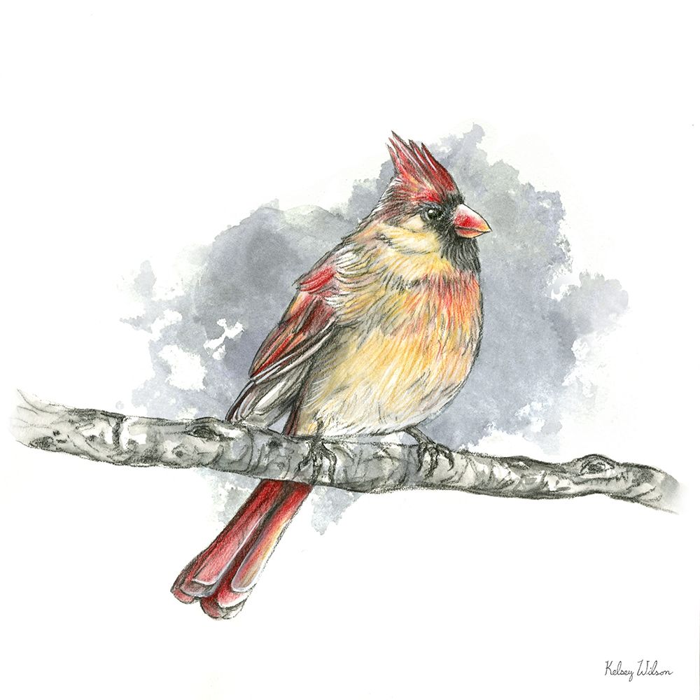 Birds And Branches II-Female Cardinal art print by Kelsey Wilson for $57.95 CAD