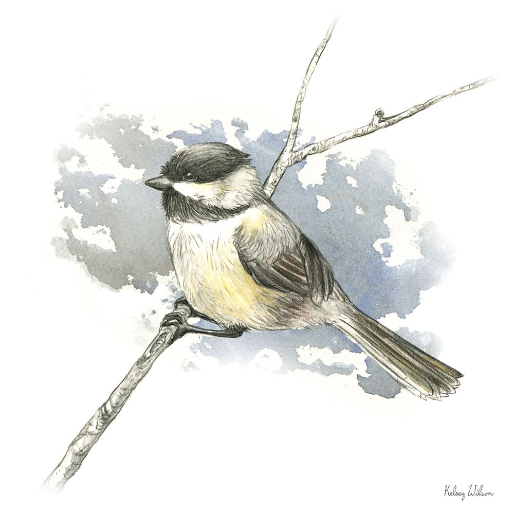 Birds And Branches III-Chickadee art print by Kelsey Wilson for $57.95 CAD