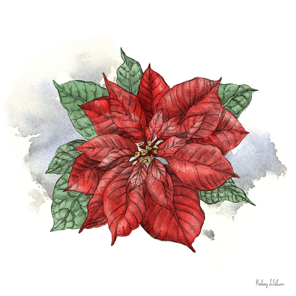 Winter Poinsetta I art print by Kelsey Wilson for $57.95 CAD