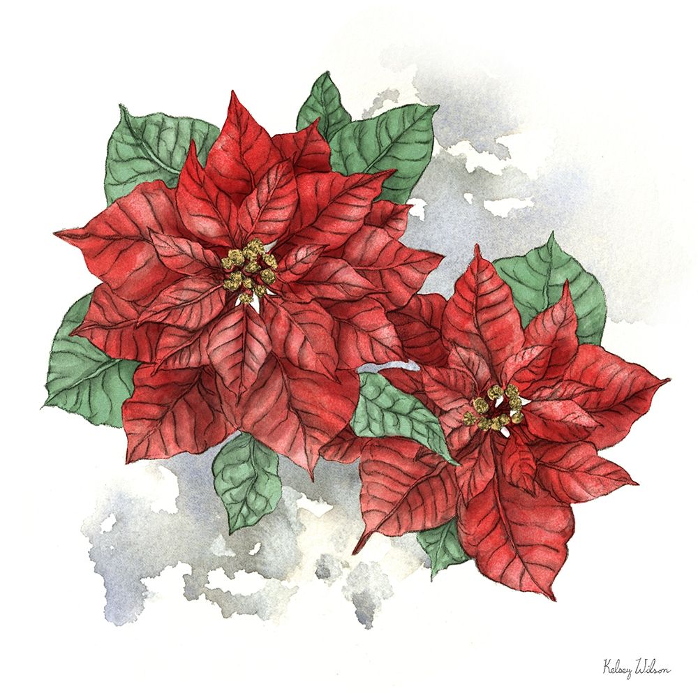 Winter Poinsetta II art print by Kelsey Wilson for $57.95 CAD