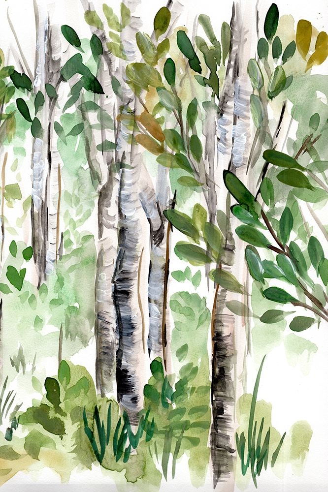 Birch Forest II art print by Marcy Chapman for $57.95 CAD