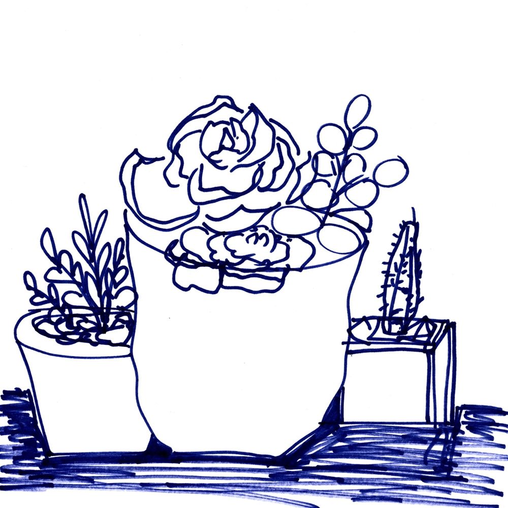 Hand Sketch Succulents blue art print by Marcy Chapman for $57.95 CAD