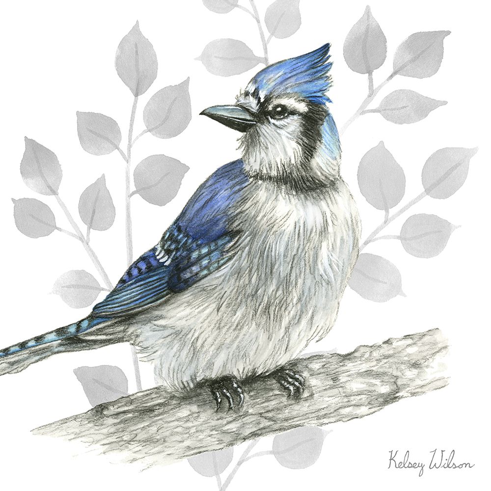 Backyard Birds I-Blue Jay art print by Kelsey Wilson for $57.95 CAD