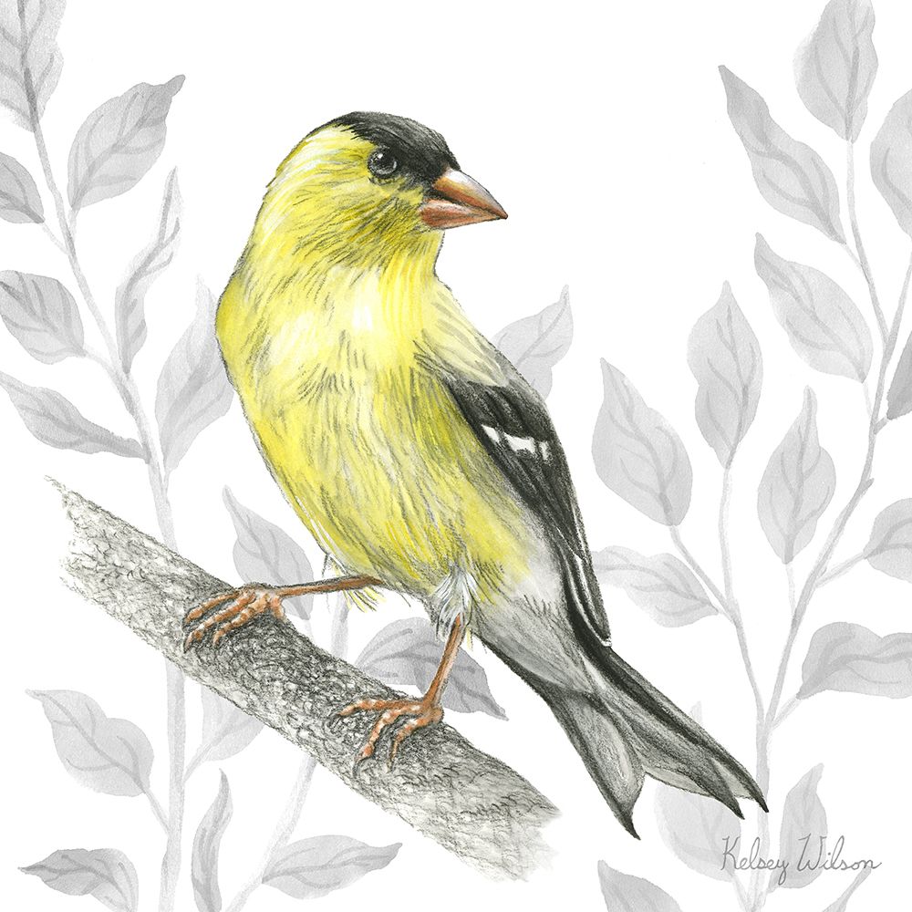 Backyard Birds III-Goldfinch I art print by Kelsey Wilson for $57.95 CAD