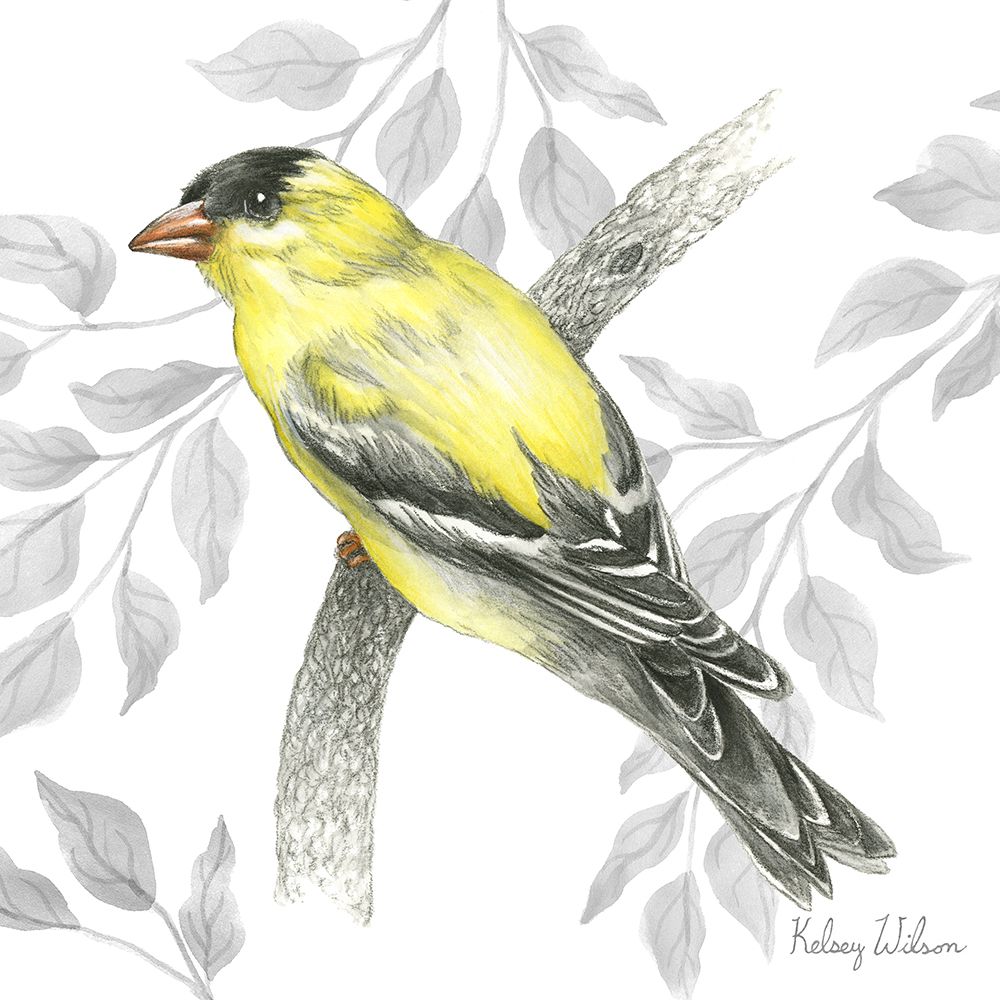 Backyard Birds IV-Goldfinch II art print by Kelsey Wilson for $57.95 CAD