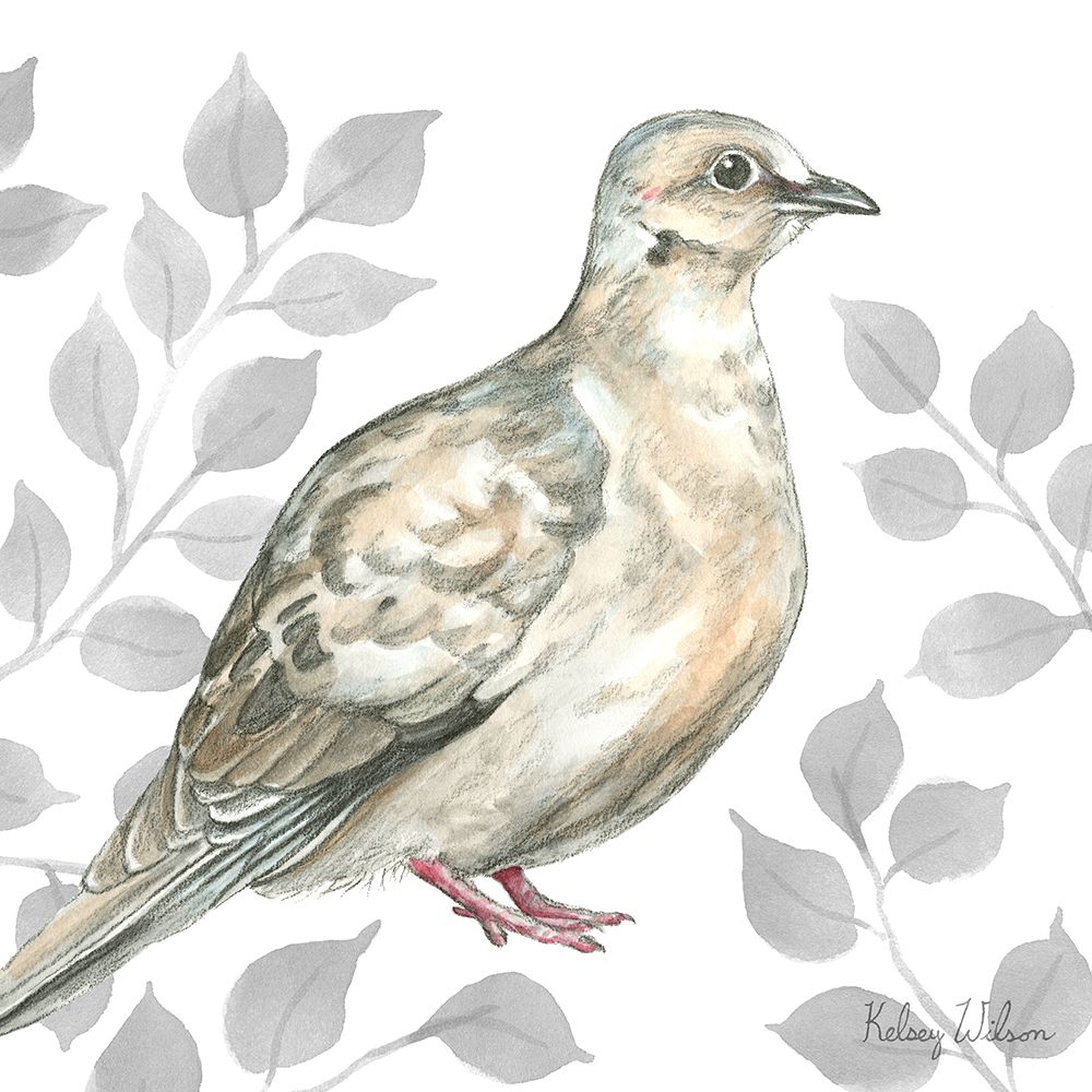 Backyard Birds V-Mourning Dove art print by Kelsey Wilson for $57.95 CAD