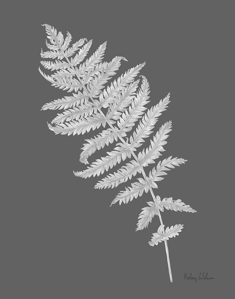 Neutral Fern on grey I art print by Kelsey Wilson for $57.95 CAD
