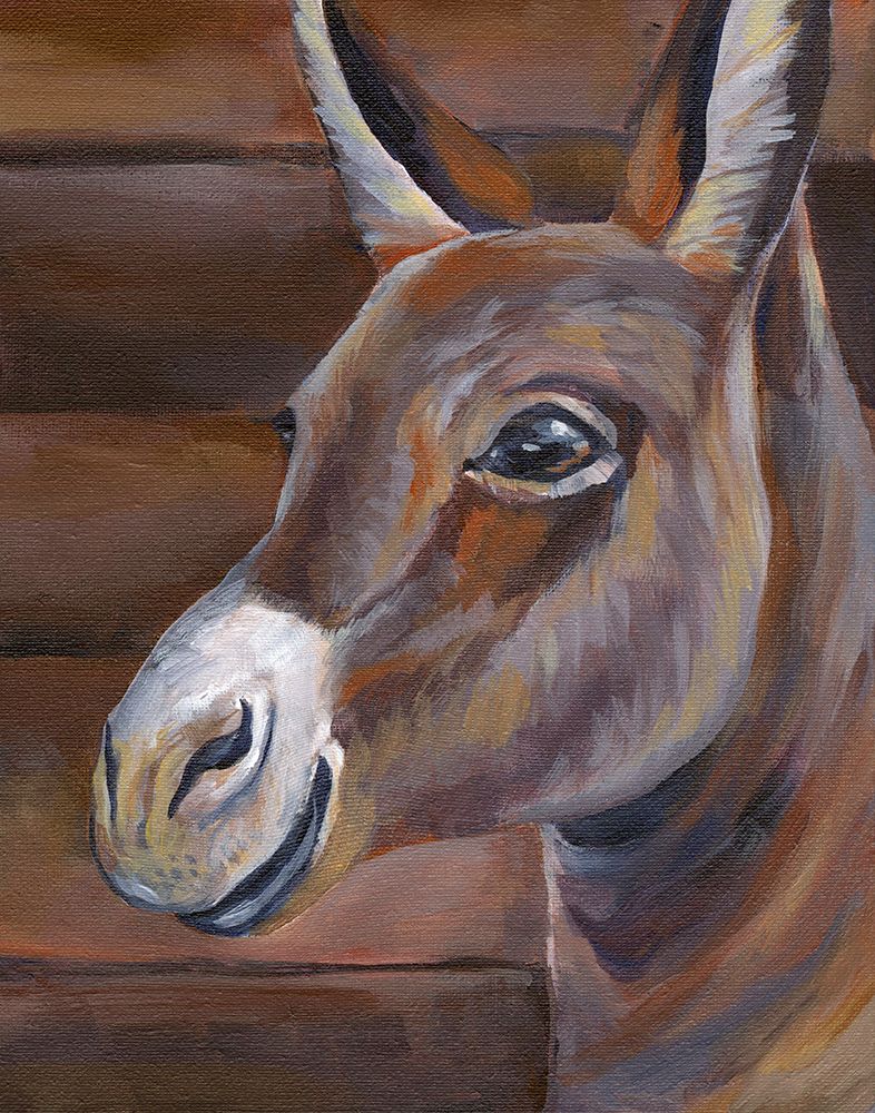 Barn Donkey art print by Kelsey Wilson for $57.95 CAD