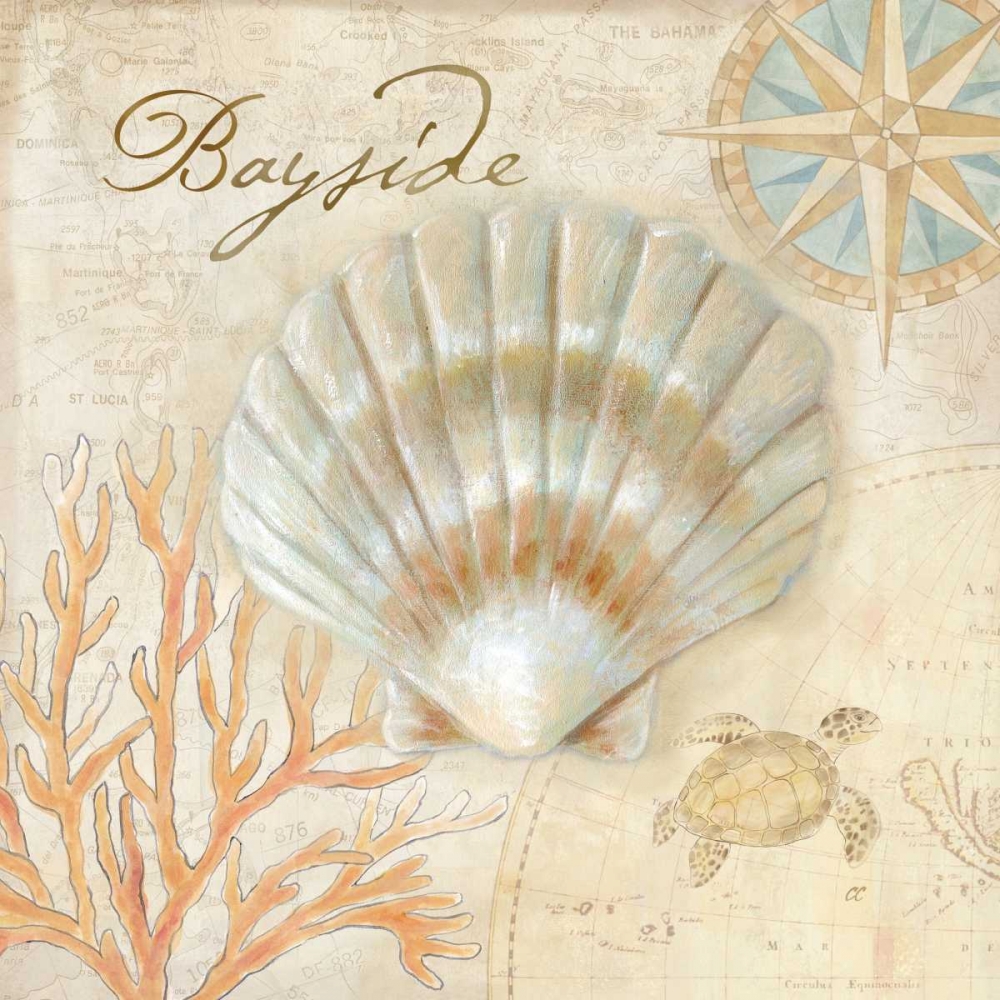 Nautical Shells II art print by Cynthia Coulter for $57.95 CAD