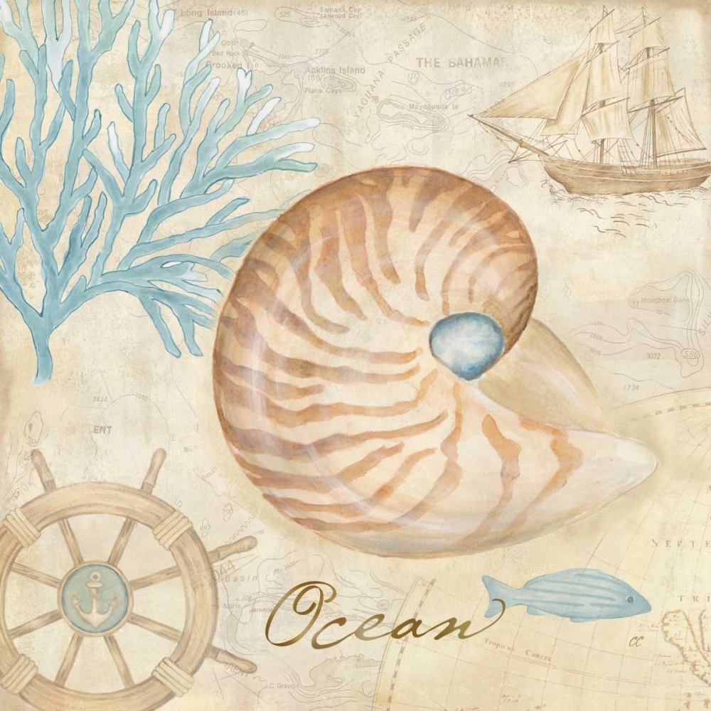 Nautical Shells III art print by Cynthia Coulter for $57.95 CAD