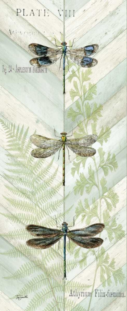 Dragonfly Botanical Panels II art print by Tre Sorelle Studios for $57.95 CAD