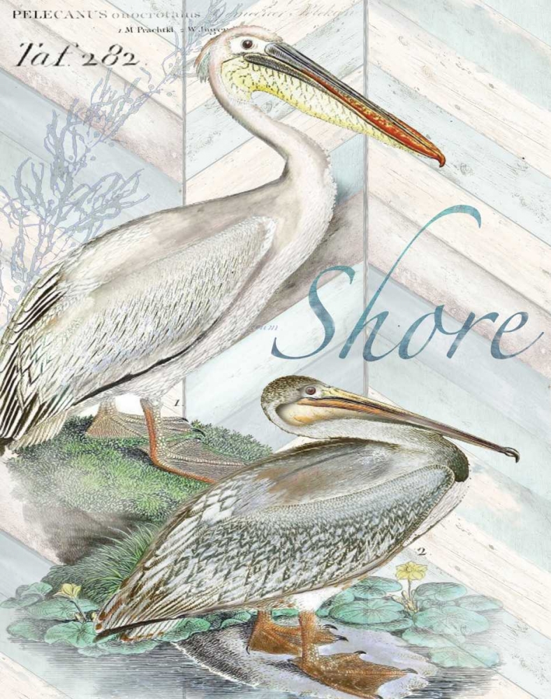 Shore Birds I art print by Tre Sorelle Studios for $57.95 CAD