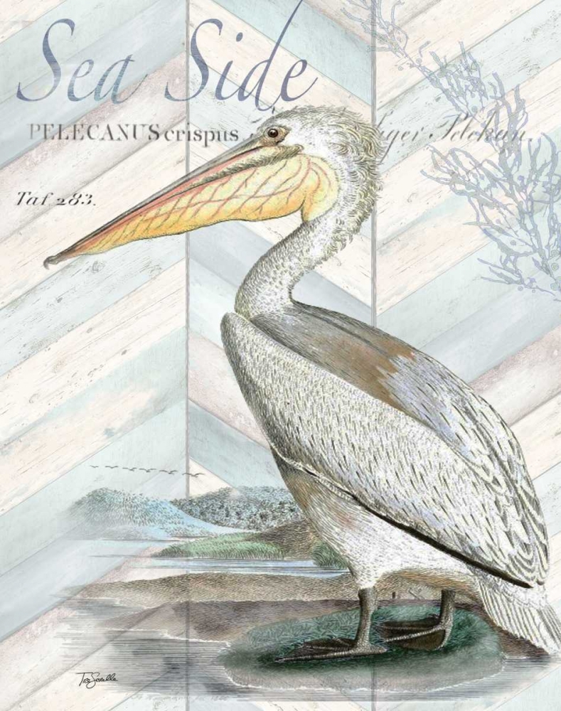 Shore Birds II art print by Tre Sorelle Studios for $57.95 CAD