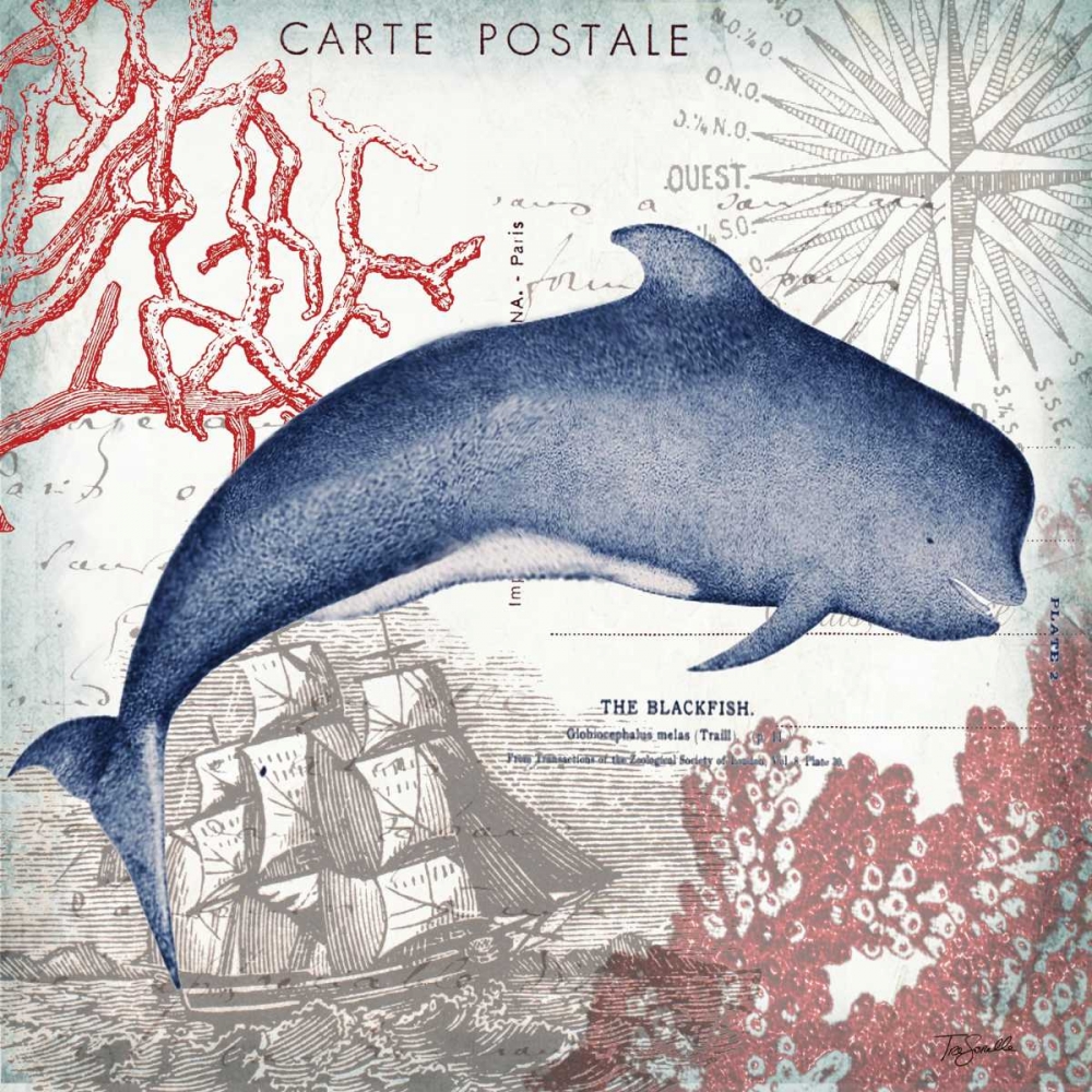 Coastal Sea Life VI  art print by Tre Sorelle Studios for $57.95 CAD